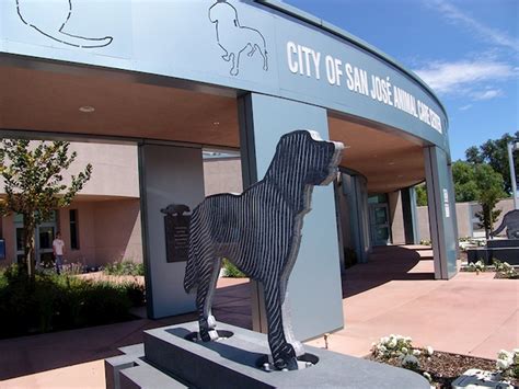 San jose animal care center - San Jose Animal Care Center, San Jose, CA. 6 likes. The San Jose Animal Care Center is a full-service animal shelter serving the cities of San Jose, Milpitas, Cupertino, Los Gatos and Saratoga....
